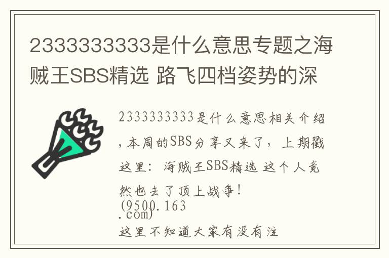 2333333333是什么意思專題之海賊王SBS精選 路飛四檔姿勢的深意！