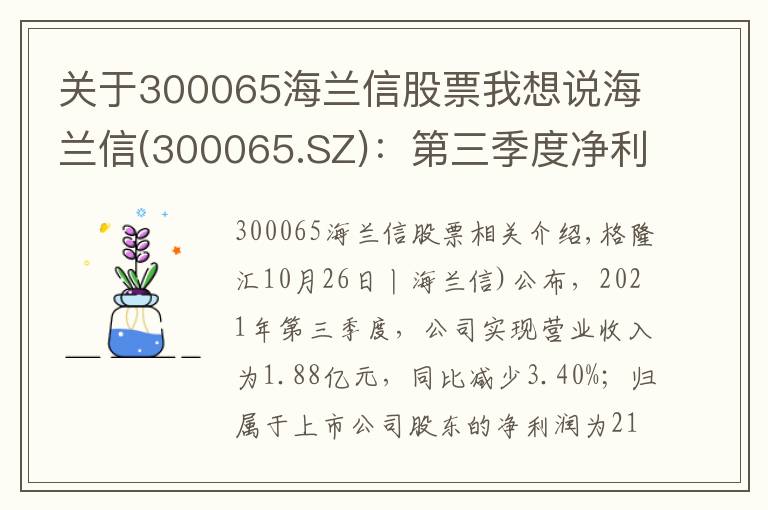 關(guān)于300065海蘭信股票我想說海蘭信(300065.SZ)：第三季度凈利潤降93.53%至213.9萬元