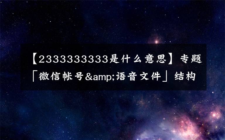 【2333333333是什么意思】專題「微信帳號&語音文件」結(jié)構(gòu)分析