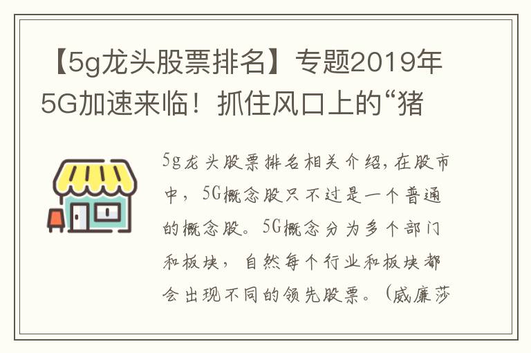 【5g龍頭股票排名】專題2019年5G加速來臨！抓住風(fēng)口上的“豬”，請(qǐng)笑納這份史上最全5G細(xì)分龍頭股一覽！