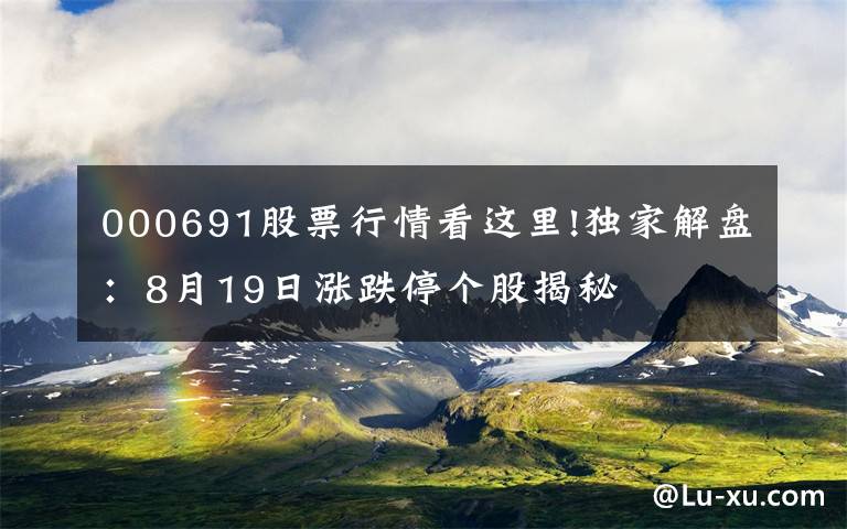 000691股票行情看這里!獨(dú)家解盤(pán)：8月19日漲跌停個(gè)股揭秘