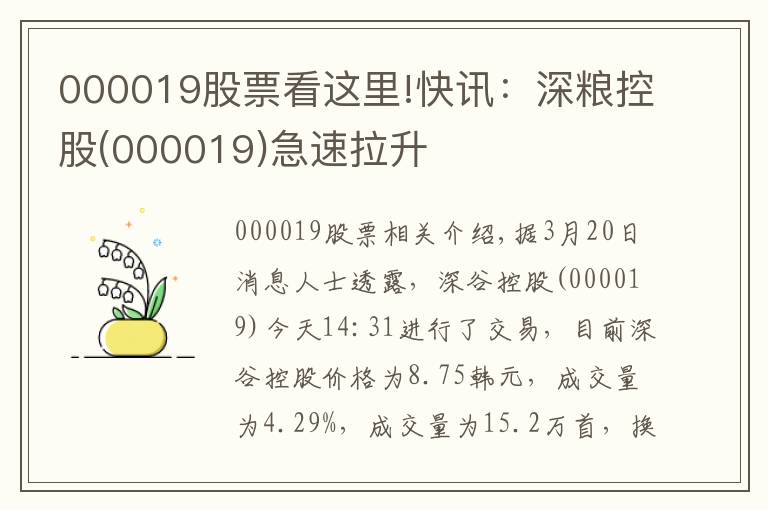 000019股票看這里!快訊：深糧控股(000019)急速拉升