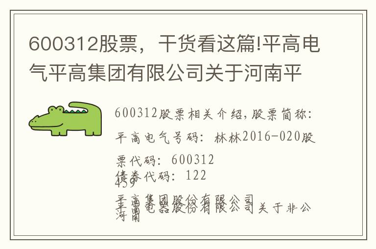 600312股票，干貨看這篇!平高電氣平高集團(tuán)有限公司關(guān)于河南平高電氣股份有限公司非公開發(fā)行股票攤薄即期回報(bào)采取填補(bǔ)措施的承諾的公