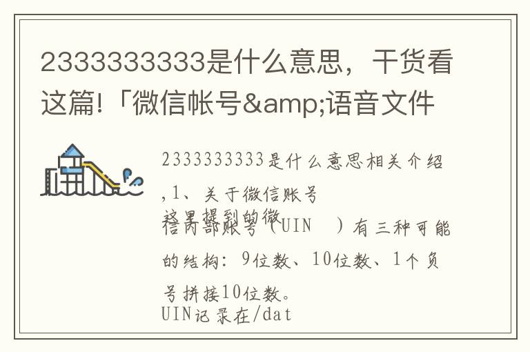 2333333333是什么意思，干貨看這篇!「微信帳號&語音文件」結(jié)構(gòu)分析