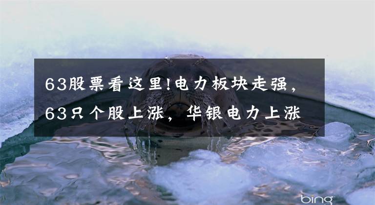 63股票看這里!電力板塊走強，63只個股上漲，華銀電力上漲10.0%