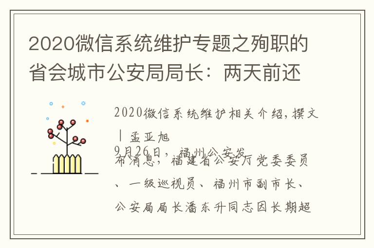 2020微信系統(tǒng)維護(hù)專題之殉職的省會(huì)城市公安局局長(zhǎng)：兩天前還在一線，曾在微信上留了28秒語(yǔ)音