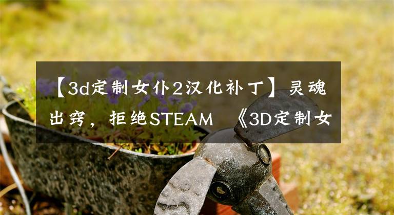 【3d定制女仆2漢化補(bǔ)丁】靈魂出竅，拒絕STEAM  《3D定制女仆2》 R18補(bǔ)丁