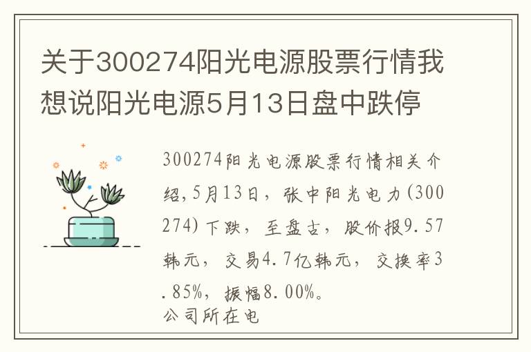 關(guān)于300274陽光電源股票行情我想說陽光電源5月13日盤中跌停