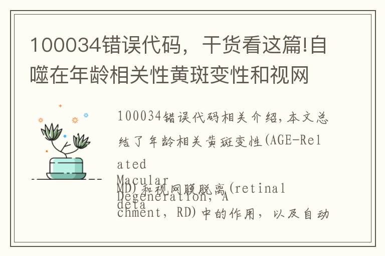 100034錯(cuò)誤代碼，干貨看這篇!自噬在年齡相關(guān)性黃斑變性和視網(wǎng)膜脫離中的研究進(jìn)展