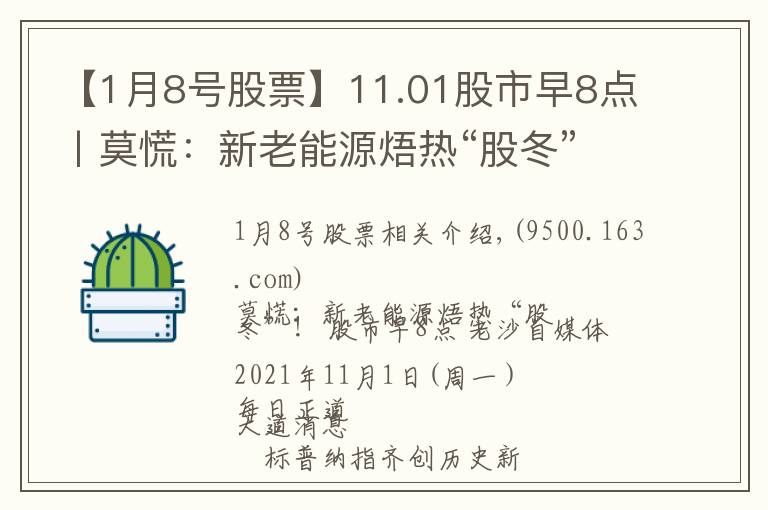 【1月8號(hào)股票】11.01股市早8點(diǎn)丨莫慌：新老能源焐熱“股冬”