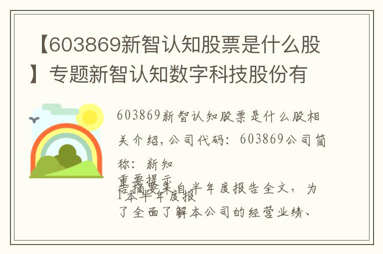 【603869新智認知股票是什么股】專題新智認知數(shù)字科技股份有限公司 2020年半年度報告摘要