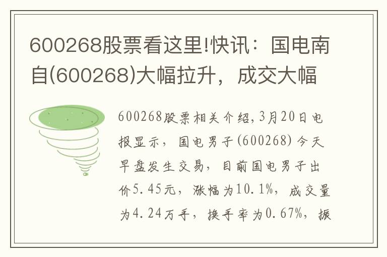 600268股票看這里!快訊：國電南自(600268)大幅拉升，成交大幅放量