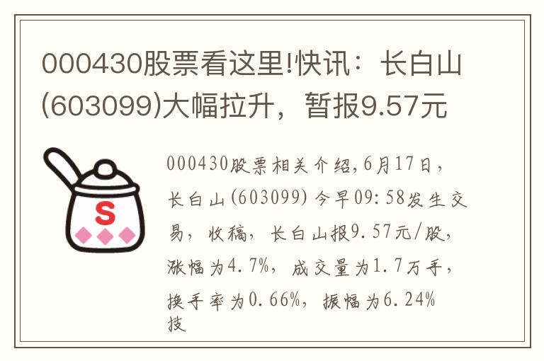 000430股票看這里!快訊：長(zhǎng)白山(603099)大幅拉升，暫報(bào)9.57元