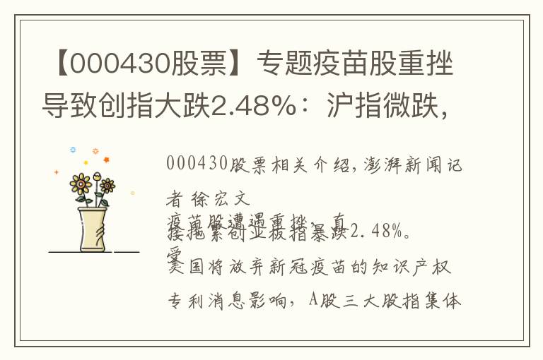 【000430股票】專題疫苗股重挫導(dǎo)致創(chuàng)指大跌2.48%：滬指微跌，個股漲多跌少