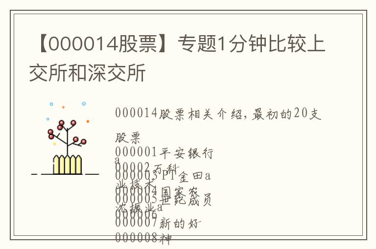 【000014股票】專題1分鐘比較上交所和深交所