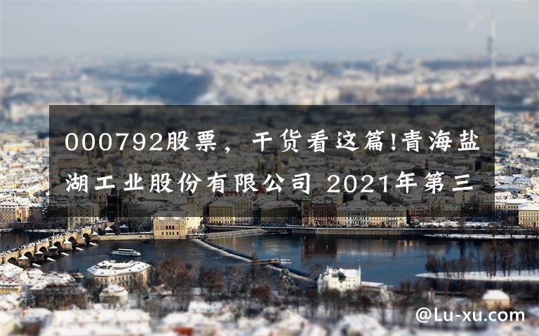 000792股票，干貨看這篇!青海鹽湖工業(yè)股份有限公司 2021年第三季度報(bào)告