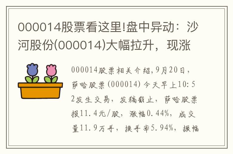 000014股票看這里!盤中異動：沙河股份(000014)大幅拉升，現(xiàn)漲0.44%