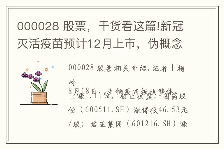 000028 股票，干貨看這篇!新冠滅活疫苗預(yù)計(jì)12月上市，偽概念股君正集團(tuán)、國(guó)藥股份封板