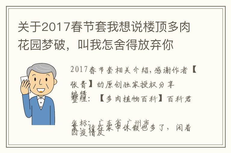 關于2017春節(jié)套我想說樓頂多肉花園夢破，叫我怎舍得放棄你