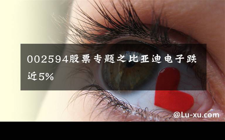 002594股票專題之比亞迪電子跌近5%