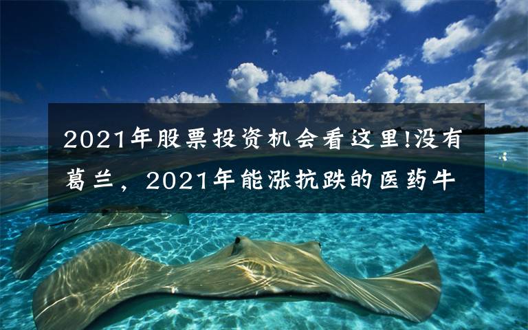 2021年股票投資機(jī)會(huì)看這里!沒(méi)有葛蘭，2021年能漲抗跌的醫(yī)藥?；谶@里