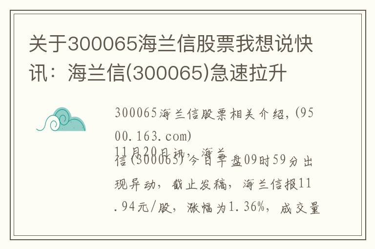 關(guān)于300065海蘭信股票我想說快訊：海蘭信(300065)急速拉升