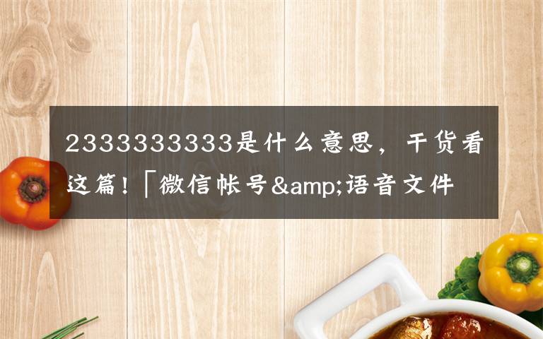 2333333333是什么意思，干貨看這篇!「微信帳號(hào)&語音文件」結(jié)構(gòu)分析