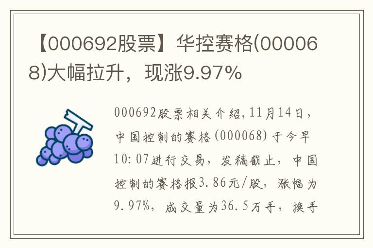 【000692股票】華控賽格(000068)大幅拉升，現(xiàn)漲9.97%