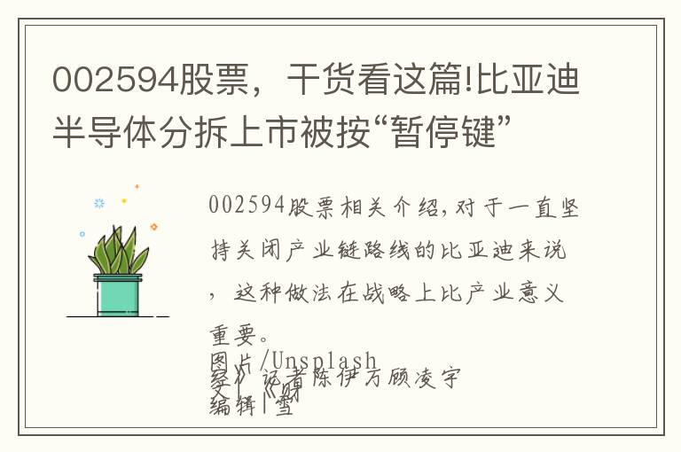 002594股票，干貨看這篇!比亞迪半導(dǎo)體分拆上市被按“暫停鍵”，市場爭議百億估值