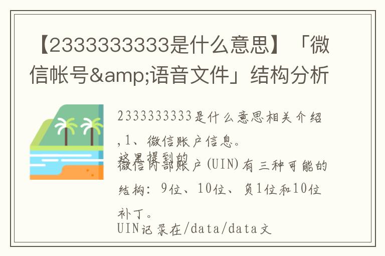 【2333333333是什么意思】「微信帳號(hào)&語(yǔ)音文件」結(jié)構(gòu)分析