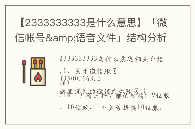 【2333333333是什么意思】「微信帳號&語音文件」結構分析