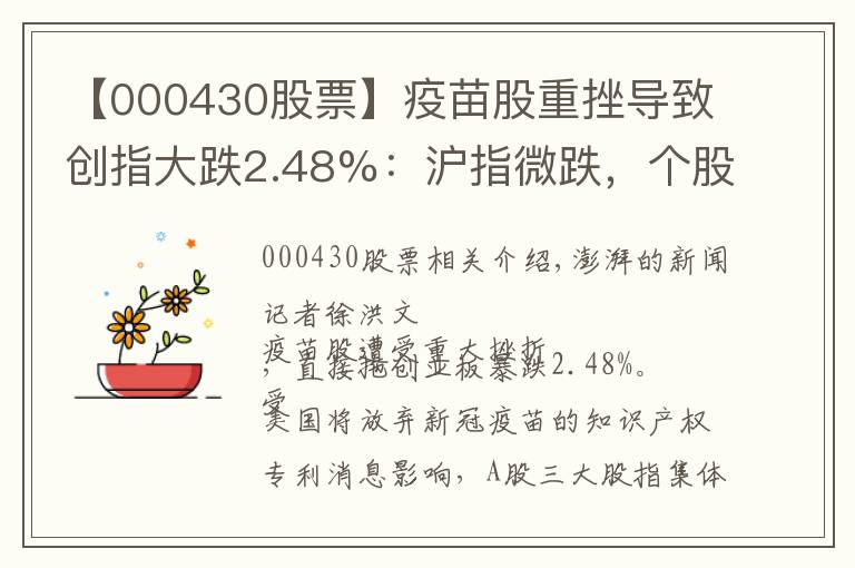 【000430股票】疫苗股重挫導(dǎo)致創(chuàng)指大跌2.48%：滬指微跌，個股漲多跌少