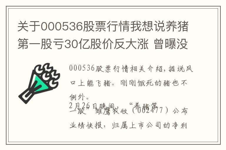 關(guān)于000536股票行情我想說養(yǎng)豬第一股虧30億股價(jià)反大漲 曾曝沒錢餓死豬