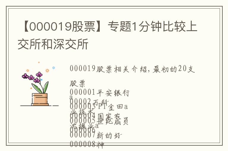 【000019股票】專題1分鐘比較上交所和深交所