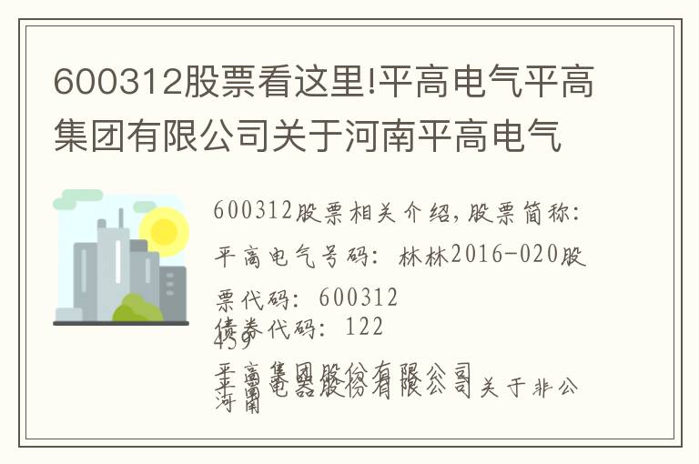 600312股票看這里!平高電氣平高集團(tuán)有限公司關(guān)于河南平高電氣股份有限公司非公開發(fā)行股票攤薄即期回報(bào)采取填補(bǔ)措施的承諾的公