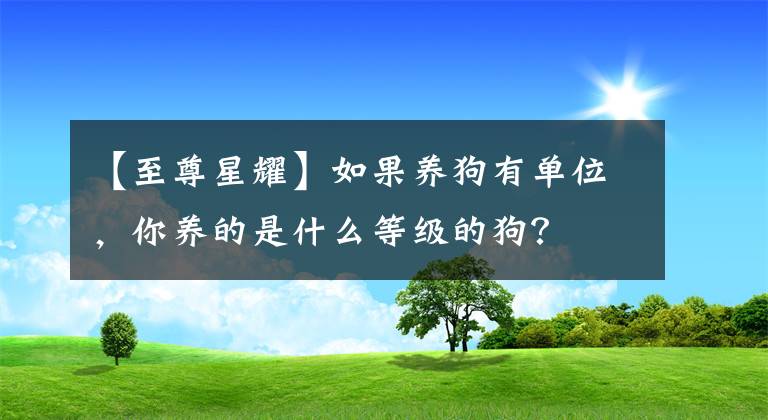 【至尊星耀】如果養(yǎng)狗有單位，你養(yǎng)的是什么等級(jí)的狗？