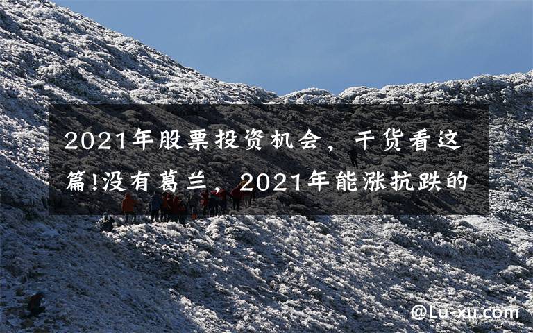 2021年股票投資機(jī)會(huì)，干貨看這篇!沒(méi)有葛蘭，2021年能漲抗跌的醫(yī)藥?；谶@里