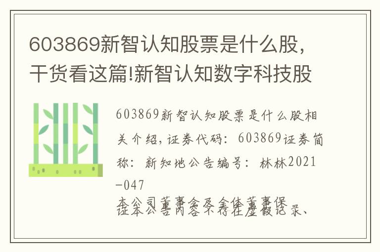 603869新智認(rèn)知股票是什么股，干貨看這篇!新智認(rèn)知數(shù)字科技股份有限公司 關(guān)于控股股東的一致行動人增持公司股份完成的公告