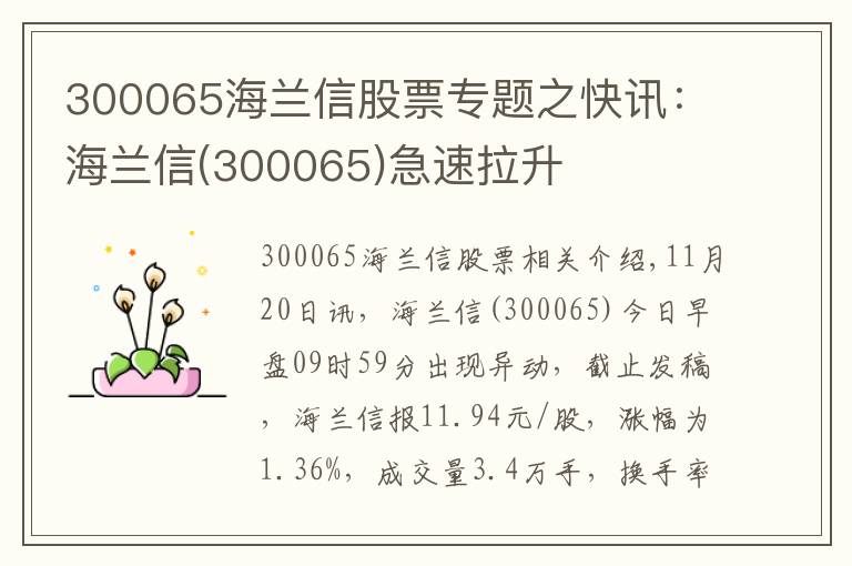 300065海蘭信股票專題之快訊：海蘭信(300065)急速拉升