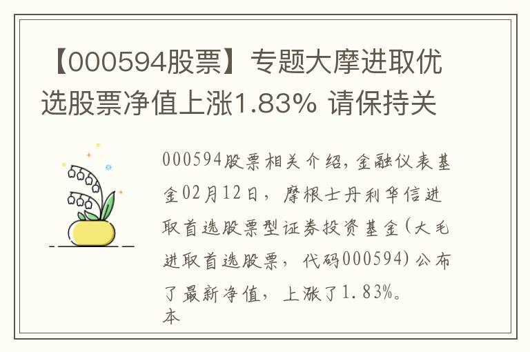 【000594股票】專題大摩進(jìn)取優(yōu)選股票凈值上漲1.83% 請保持關(guān)注