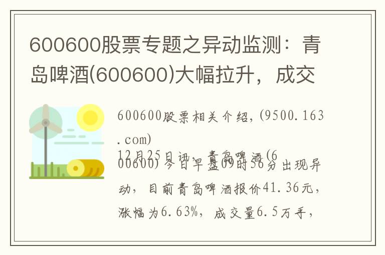 600600股票專題之異動(dòng)監(jiān)測(cè)：青島啤酒(600600)大幅拉升，成交量放大