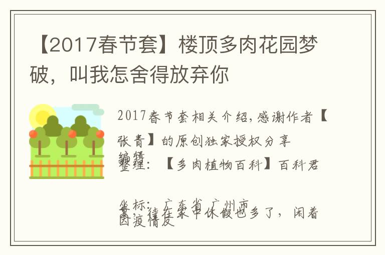 【2017春節(jié)套】樓頂多肉花園夢破，叫我怎舍得放棄你