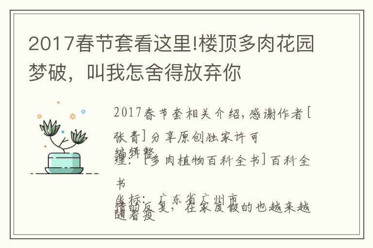 2017春節(jié)套看這里!樓頂多肉花園夢(mèng)破，叫我怎舍得放棄你