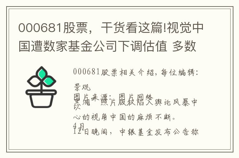 000681股票，干貨看這篇!視覺中國遭數(shù)家基金公司下調(diào)估值 多數(shù)給了兩個跌停