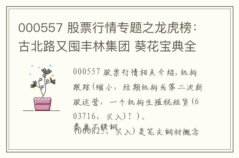 000557 股票行情專題之龍虎榜：古北路又囤豐林集團 葵花寶典全程拉西部創(chuàng)業(yè)