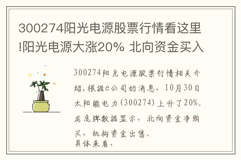 300274陽光電源股票行情看這里!陽光電源大漲20% 北向資金買入，機構(gòu)資金賣出