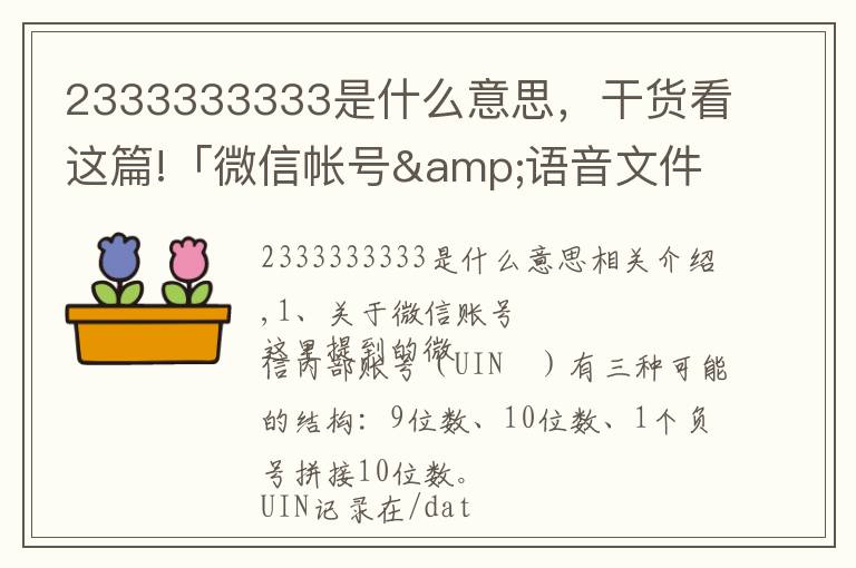 2333333333是什么意思，干貨看這篇!「微信帳號&語音文件」結(jié)構(gòu)分析