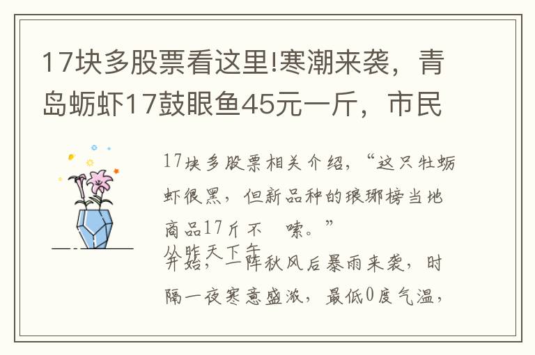 17塊多股票看這里!寒潮來襲，青島蠣蝦17鼓眼魚45元一斤，市民整筐購買囤貨過冬