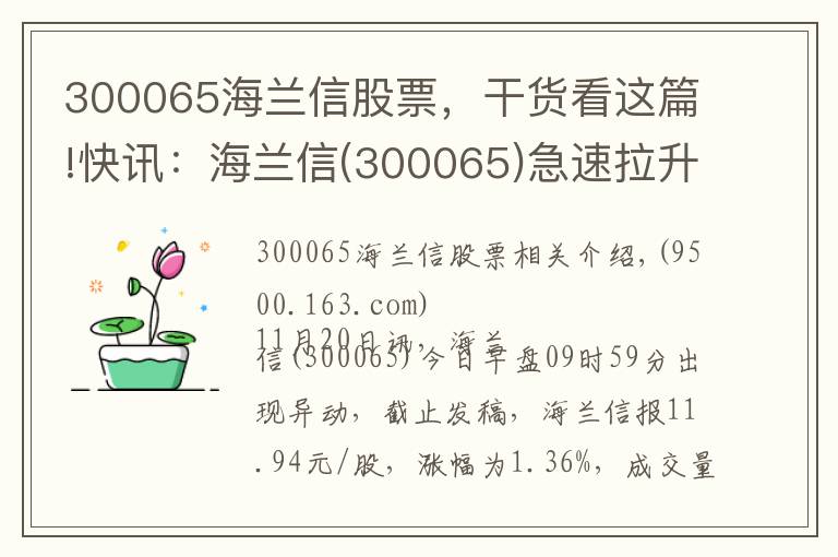 300065海蘭信股票，干貨看這篇!快訊：海蘭信(300065)急速拉升