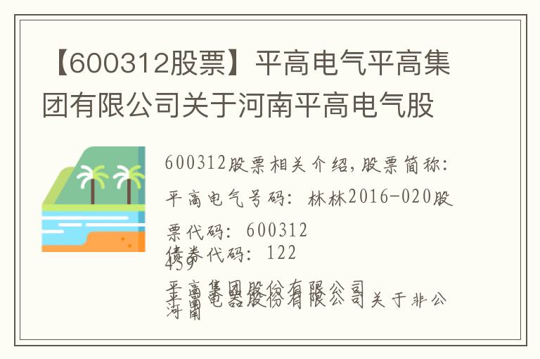 【600312股票】平高電氣平高集團(tuán)有限公司關(guān)于河南平高電氣股份有限公司非公開發(fā)行股票攤薄即期回報(bào)采取填補(bǔ)措施的承諾的公